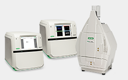 Gel Imaging System.png